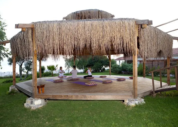 Armas Bella Luna 锡德