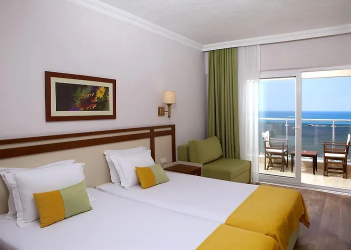 Armas Bella Luna 锡德