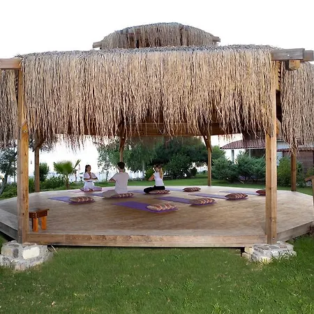 Armas Bella Luna シダ